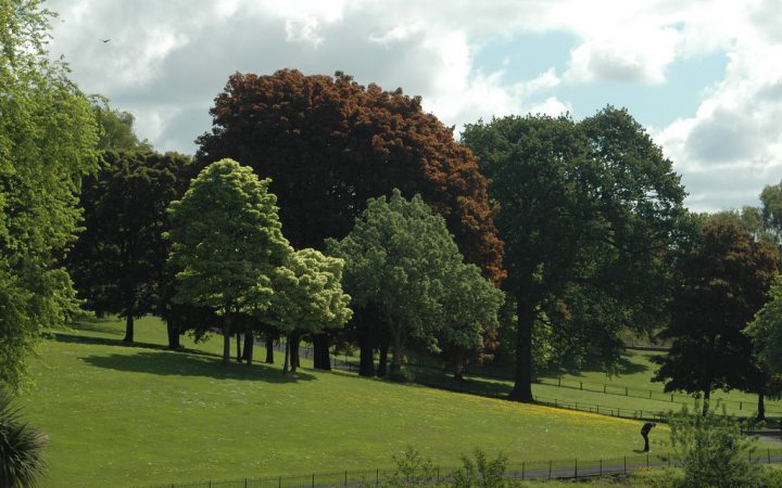 2586834892_3c080cd2af_b