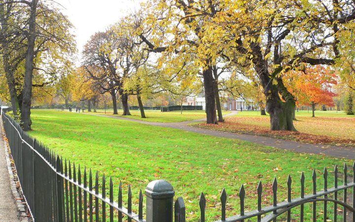 69712172_6231350549_b