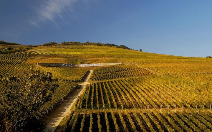 tokaj_1