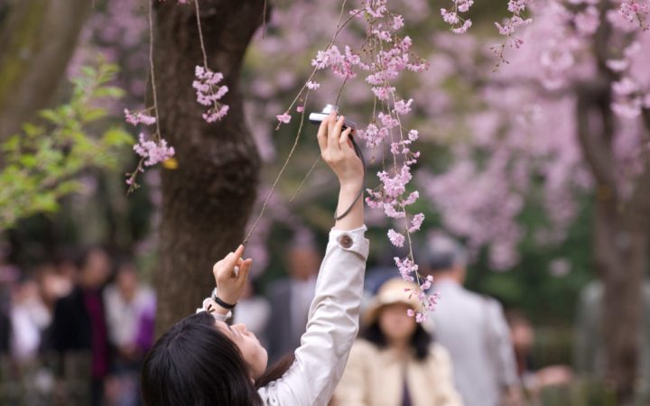 COPYRIGHT 2007 JEFFREY FRIEDL