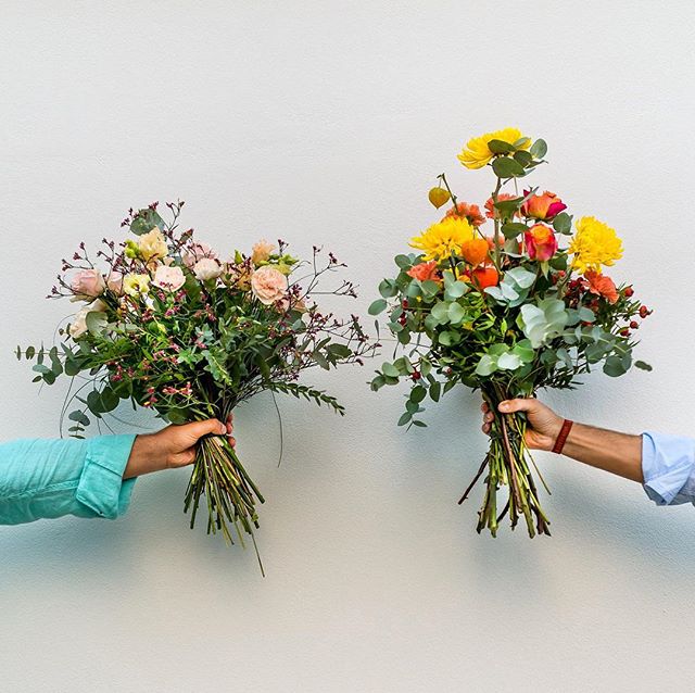 14515766_1813460228878895_5177459358795038720_n