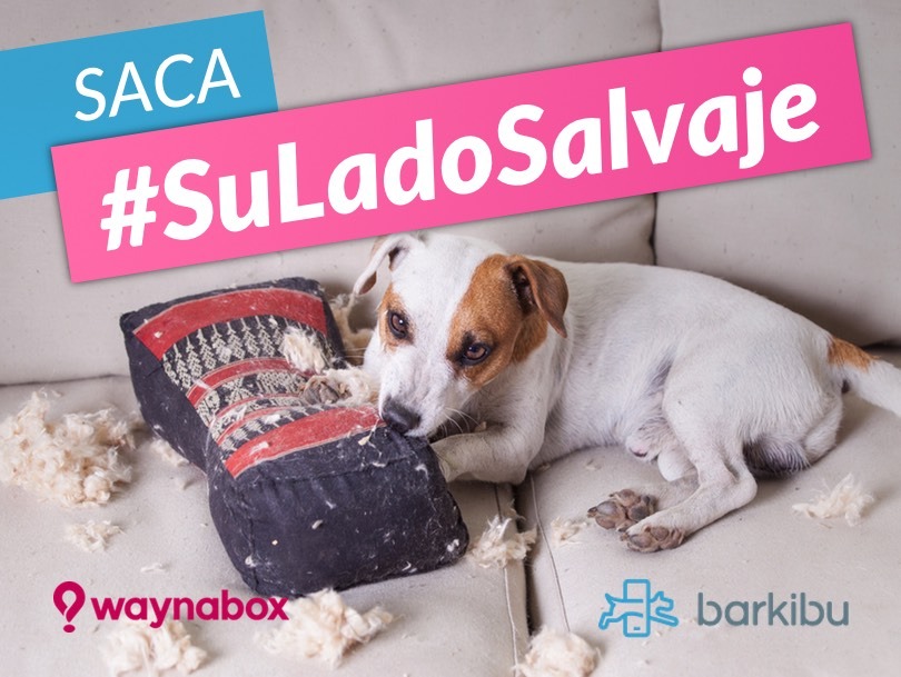new_fan_page_anuncio_con_waynabox
